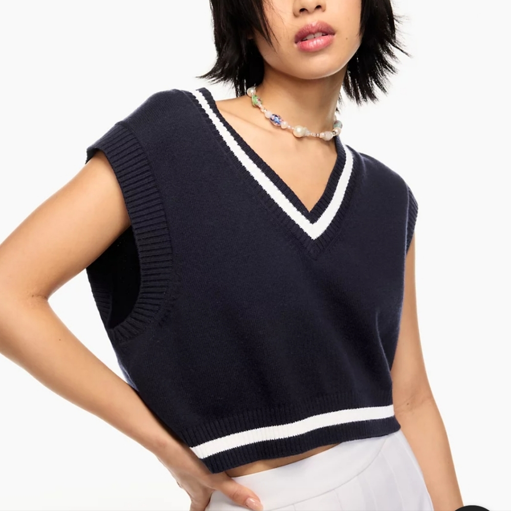 Aritzia Sweater Vest - Small